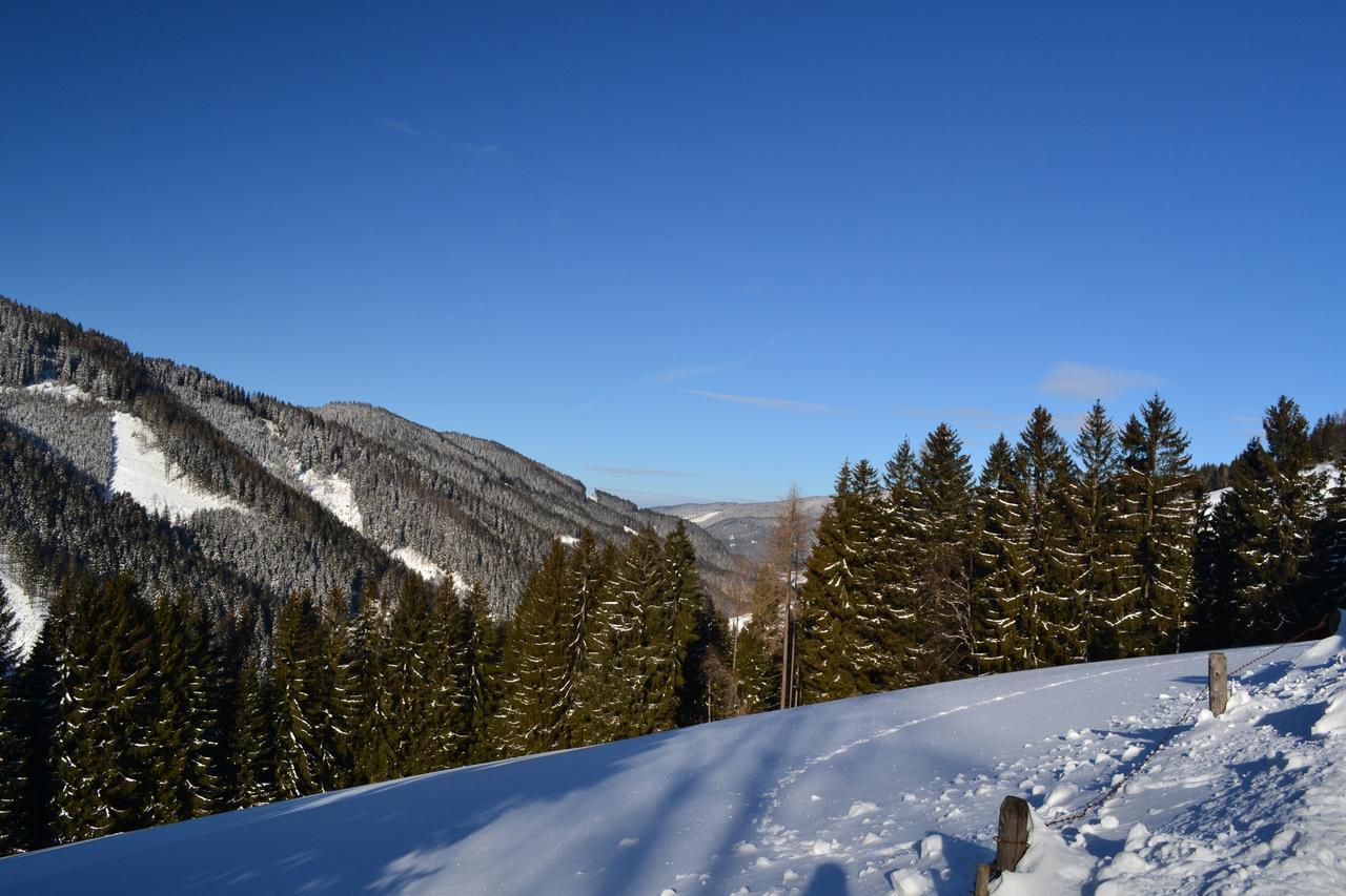Gasthof Oberer Gesslbauer Stanz Im Murztal ภายนอก รูปภาพ