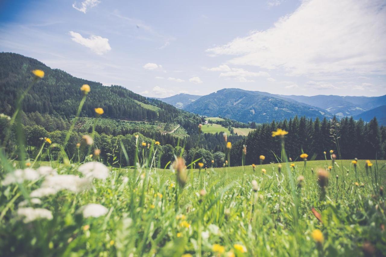 Gasthof Oberer Gesslbauer Stanz Im Murztal ภายนอก รูปภาพ