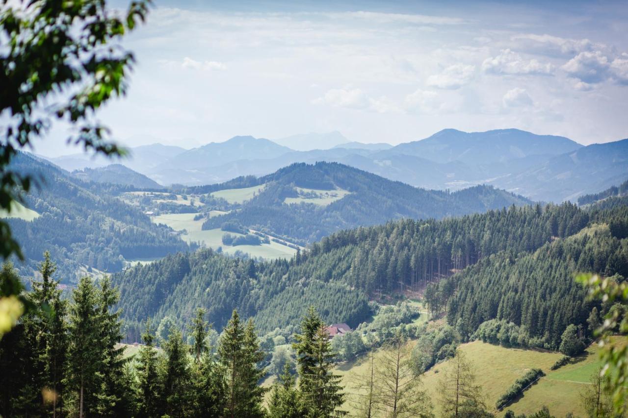 Gasthof Oberer Gesslbauer Stanz Im Murztal ภายนอก รูปภาพ