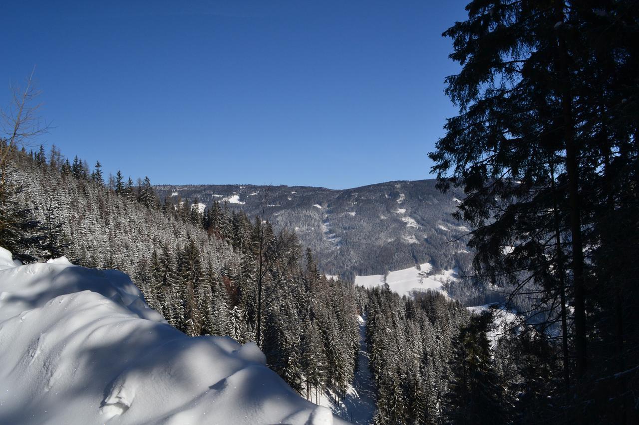 Gasthof Oberer Gesslbauer Stanz Im Murztal ภายนอก รูปภาพ